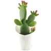 Opuntia Inamoena (ou Tacinga Inamoena) - Pot D14cm -Cactus Jardin Soldes Magasin 1024867 1471930