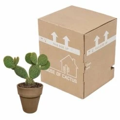 Opuntia Microdasys Et Son Cache-pot Marron - H40cm, ø17cm - Plante D'intérieur -Cactus Jardin Soldes Magasin 48d55715481eec9b