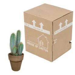Pilosocereus Azureus Et Son Cache-pot Marron - H40cm, ø17cm - Plante D'intérieur -Cactus Jardin Soldes Magasin 5a33834f87ba2412