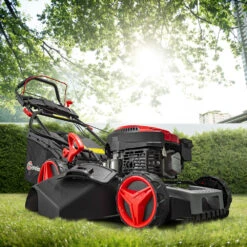 Tondeuse Thermique Autotractée 144.3cc - 46cm Avec Démarrage électrique -mulchin -Cactus Jardin Soldes Magasin 63c13674ceff40.04494612