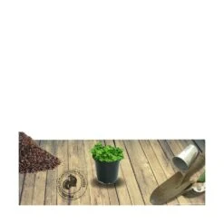 Cactus Jardin Soldes Magasin -Cactus Jardin Soldes Magasin 63f4efc27fade6.00053073