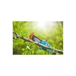 Gardena Elagueuse Sur Perche Tcs 20/18v P4a Sans Batterie -Cactus Jardin Soldes Magasin 641da6726f15b1.32290024