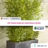 Kit Brise-vue Balcon Bambou Rufa 5 L 1 Kit Brise-vue Balcon Bambou Rufa 5 L -Cactus Jardin Soldes Magasin 6495d342efe1f7.01664271