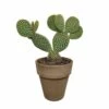 Opuntia Microdasys Et Son Cache-pot Marron - H40cm, ø17cm - Plante D'intérieur -Cactus Jardin Soldes Magasin d56a6bc0eec02fda