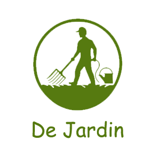 Cactus Jardin Soldes Magasin